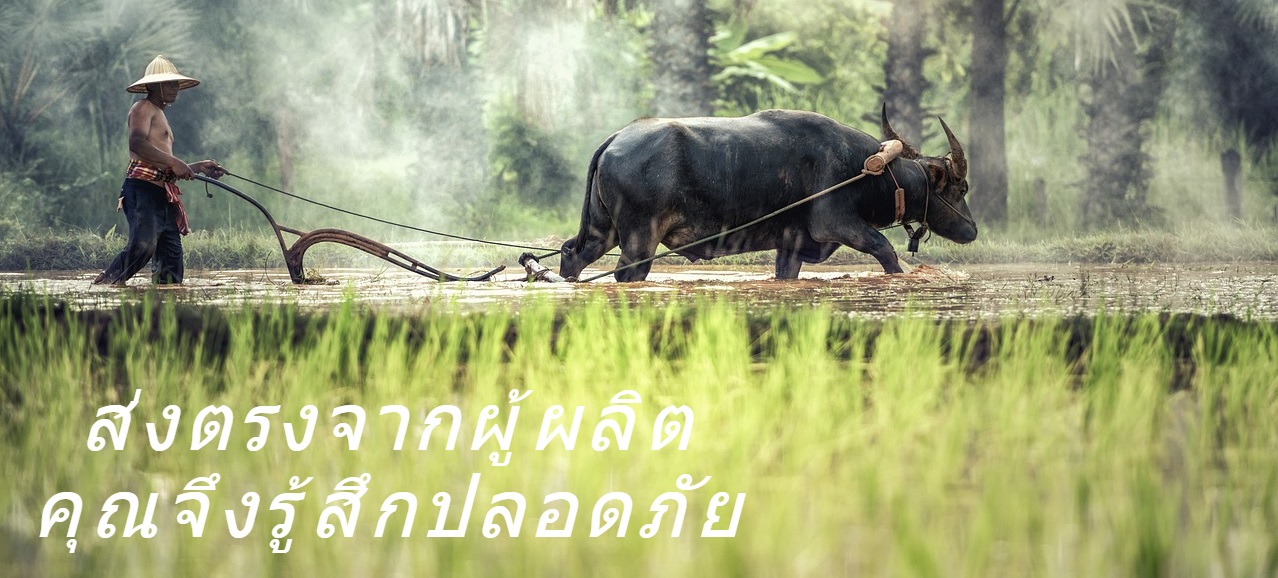 doytrng.com สนับสนุนเกษตรกรไทย