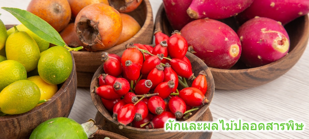 doytrng.com ฉันอยากให้เกษตรกรมีชีวิตที่ดีขึ้นและได้รับค่าตอบแทนตามหน้าที่การงาน